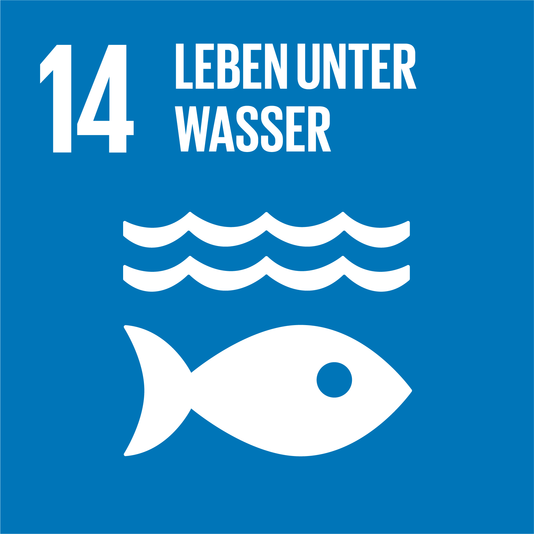14. Leben unter Wasser