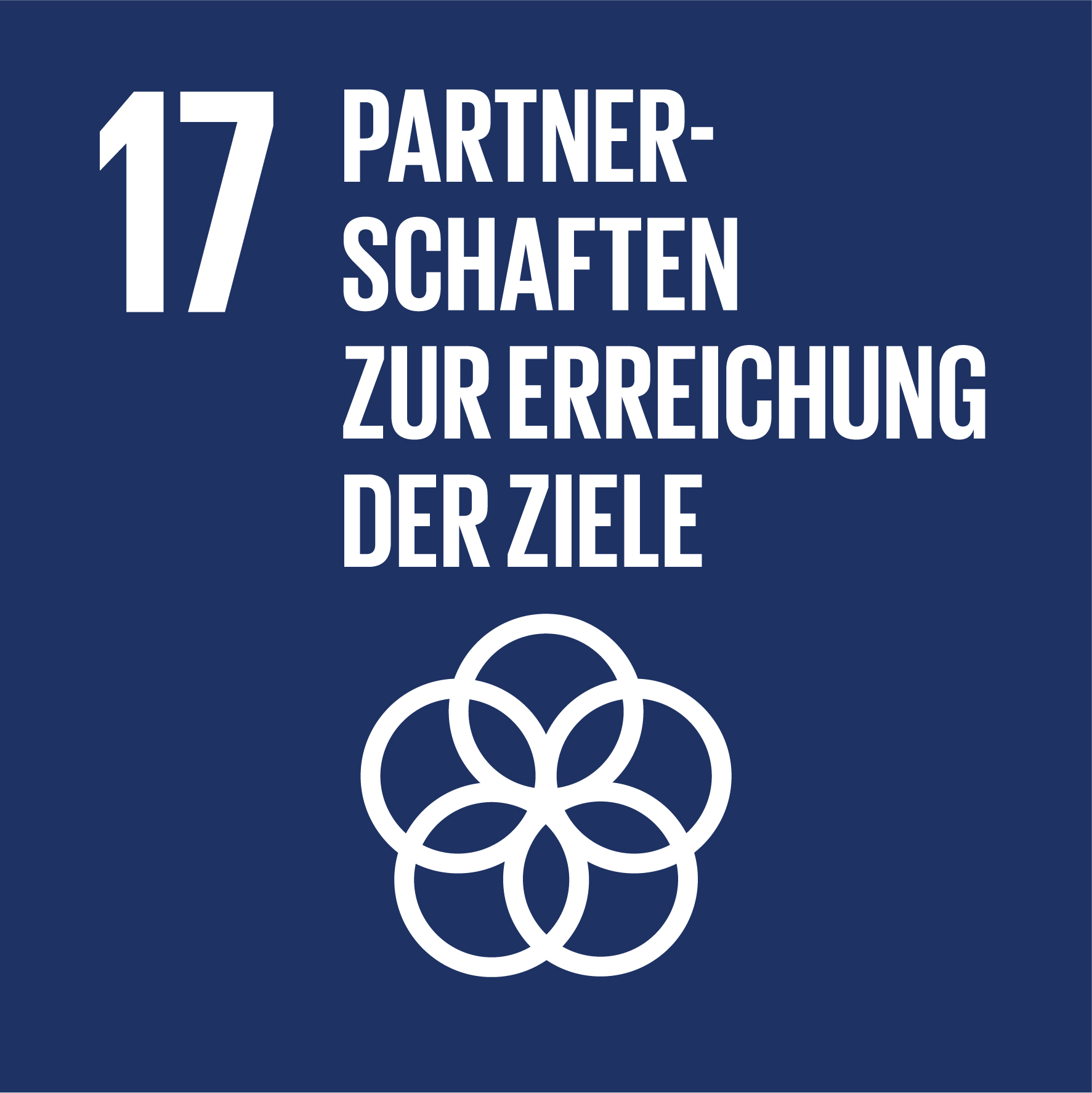17. Partnerschaften