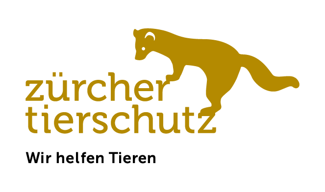 Praktikant*in Tierschutz + Jugendarbeit 60 – 100 %